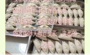 彭泽蒸米粑文化节盛大开幕，万人接力打造“最长米粑链”创世界纪录